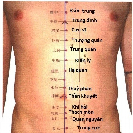 huyệt trung cực
