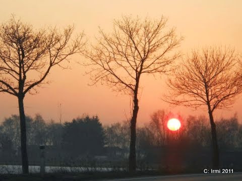 Dies Und Das Vom Neckarstrand April 2015