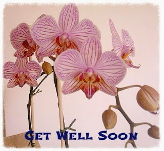 Get well soon- Phalaenopsis