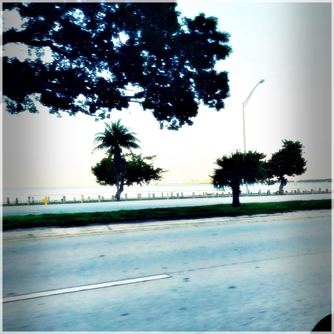 OutdoorLife-85383865042