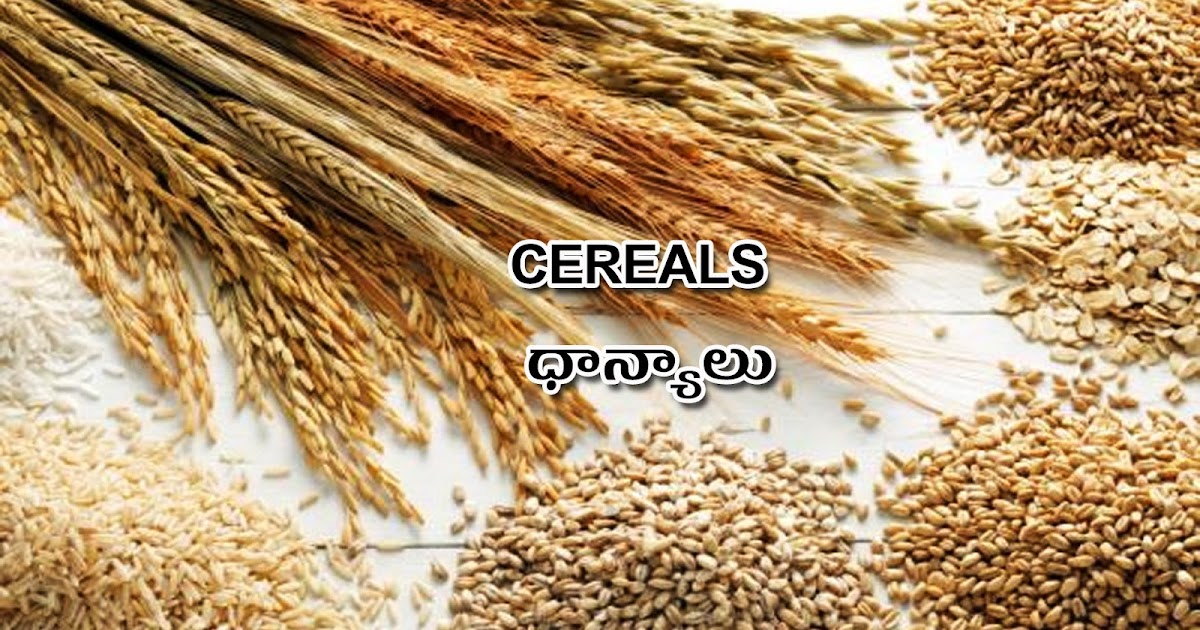 CEREALS DHAANYAALU Picture Dictionary English Telugu