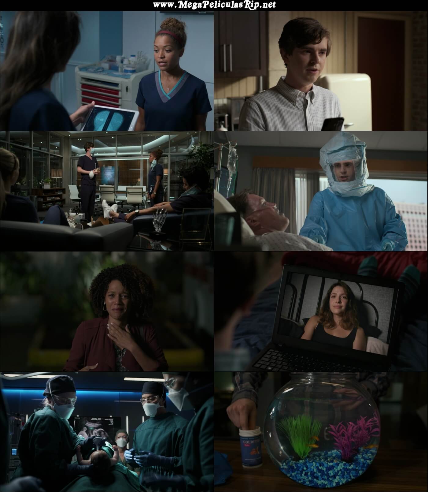 The Good Doctor Temporada 4 1080p Latino