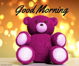 teddy bear teddy bear