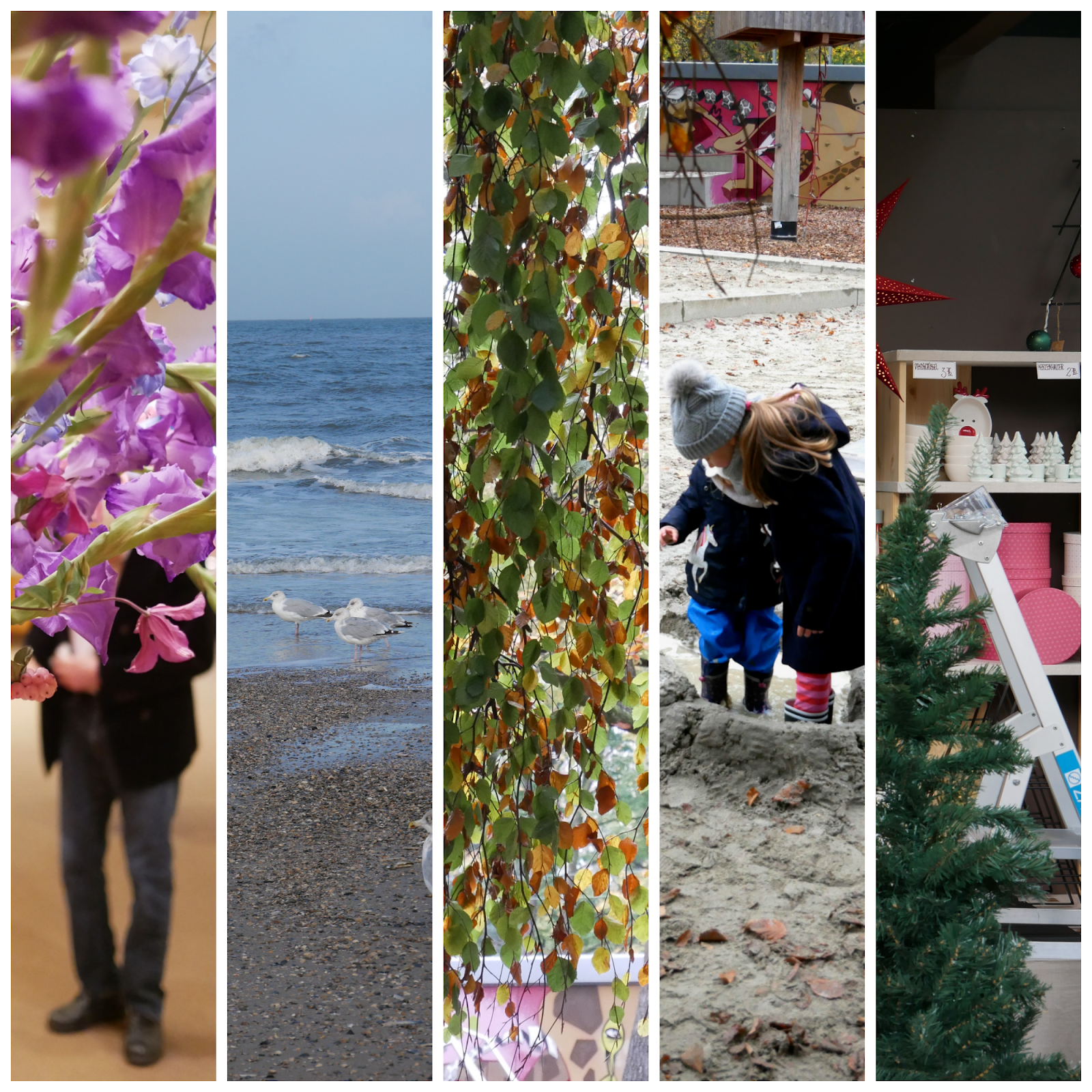 Alsfeld Nisten Im Hotel Zum Schwalbennest Https Www