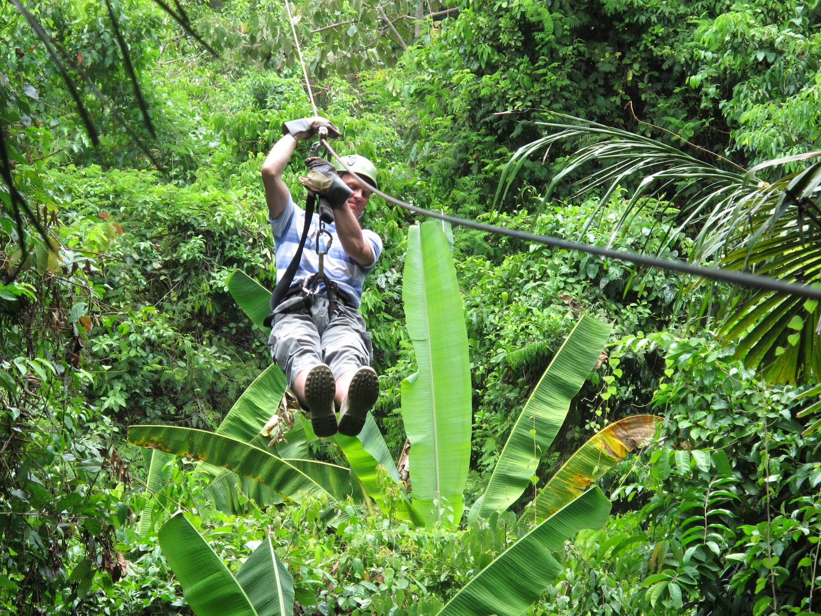Пхукет полет гиббона