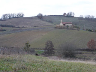 Randonnée Tarn Gaillac Bea rando Decouverte