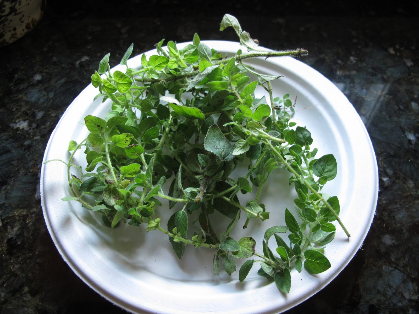 Penn State Extension Philadelphia Master Gardeners Kitchen Herb Gardens