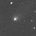 A recently discovered comet is likely to be an interstellar visitor