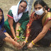 महिला कांग्रेस सेवा दल ने विश्व पर्यावरण दिवस के अवसर पर किया वृक्षारोपण