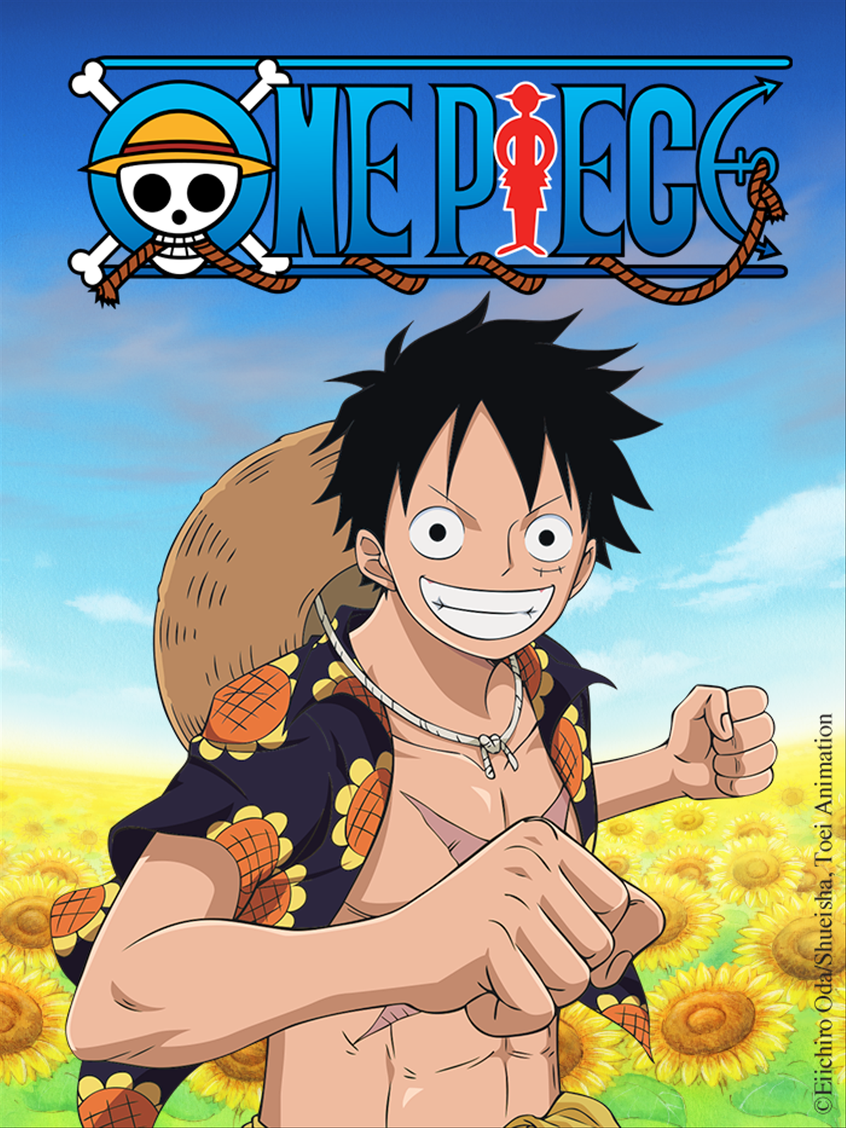 One Piece Episode 916 English Dubbed With All Format