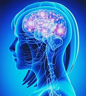 Sürekli Şikayet etmek Beyninizi Değiştiriyor Mayıs 2019