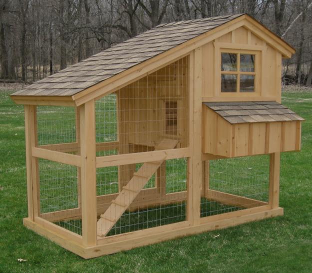 ... chickens has to ensure that the coops are comfortable and secure for
