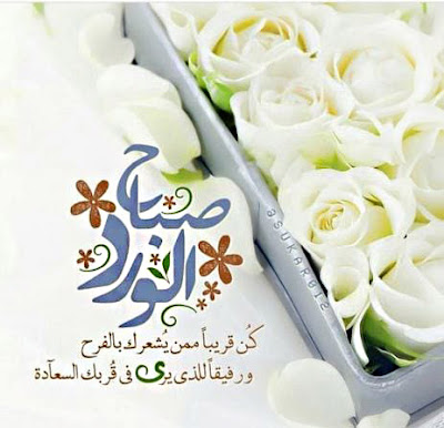 صباح الورد صباح السعادة ، صباح الخير