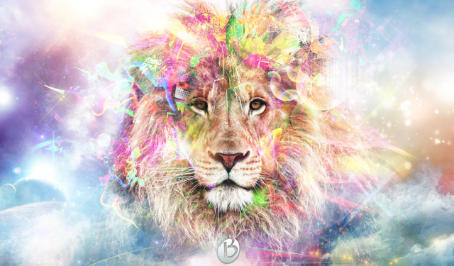 Top 60+ Lion HD Wallpapers | Backgrounds Images Free Download