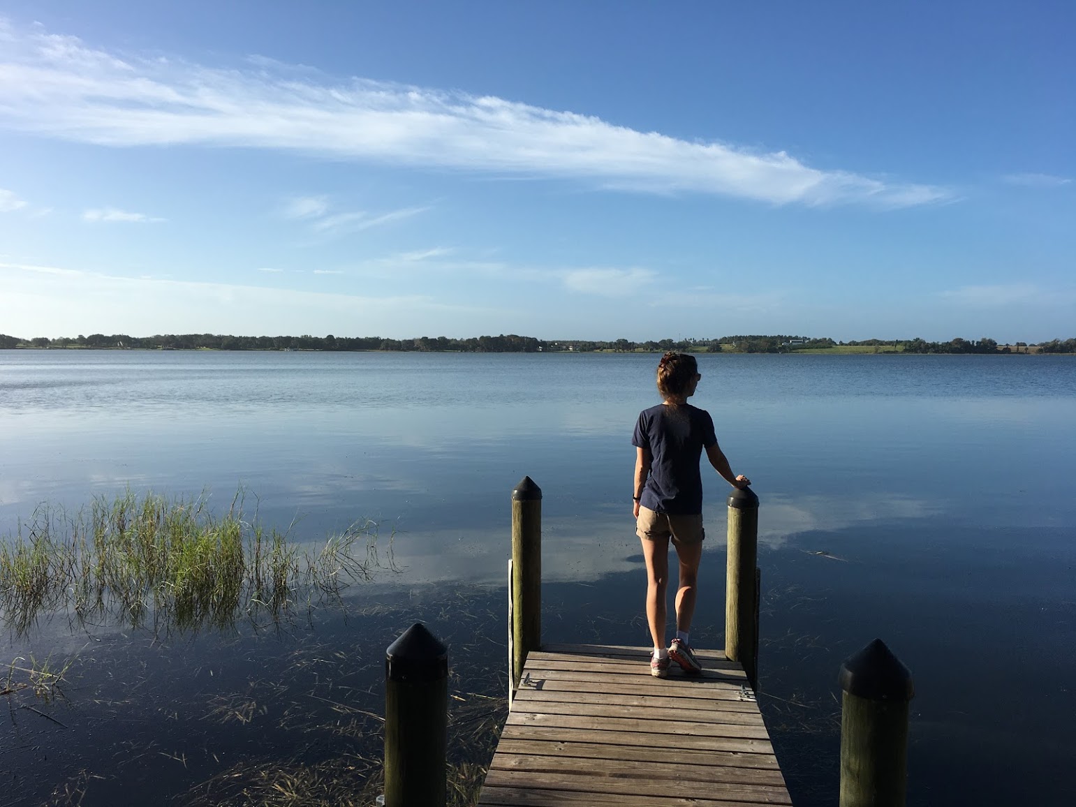 Our RV Adventures Busy Times at Trimble Park Data Plans, a Tropical