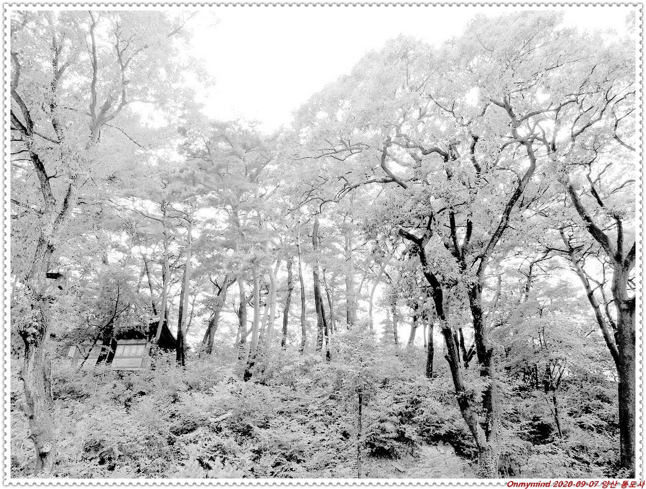 양산 통도사 양산 통도사