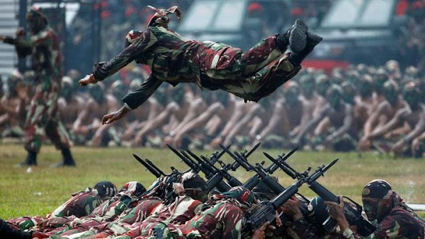 5 Negara Muslim dengan Kekuatan Militer Teratas, Ada Indonesia