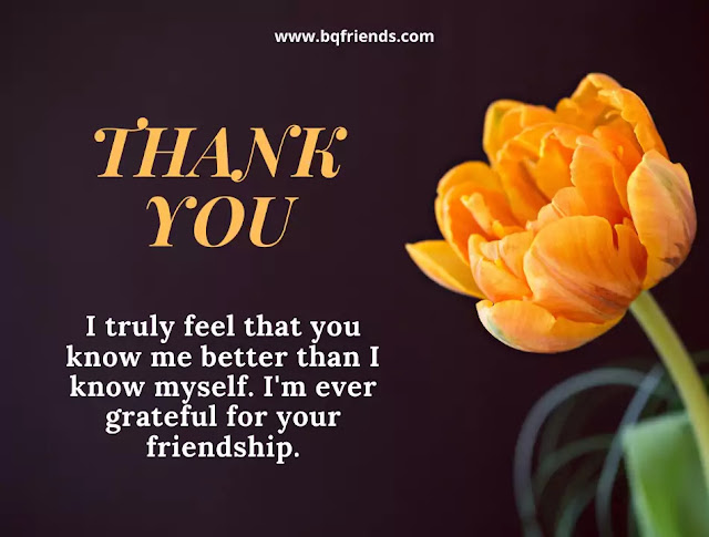 80+ Thank You Quotes For Friends (With Images) - bqfriends | Friends ...