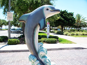 Dolphin at St Pete Pier