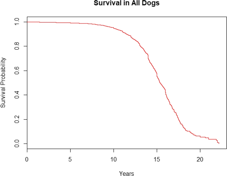 do intact dogs live longer