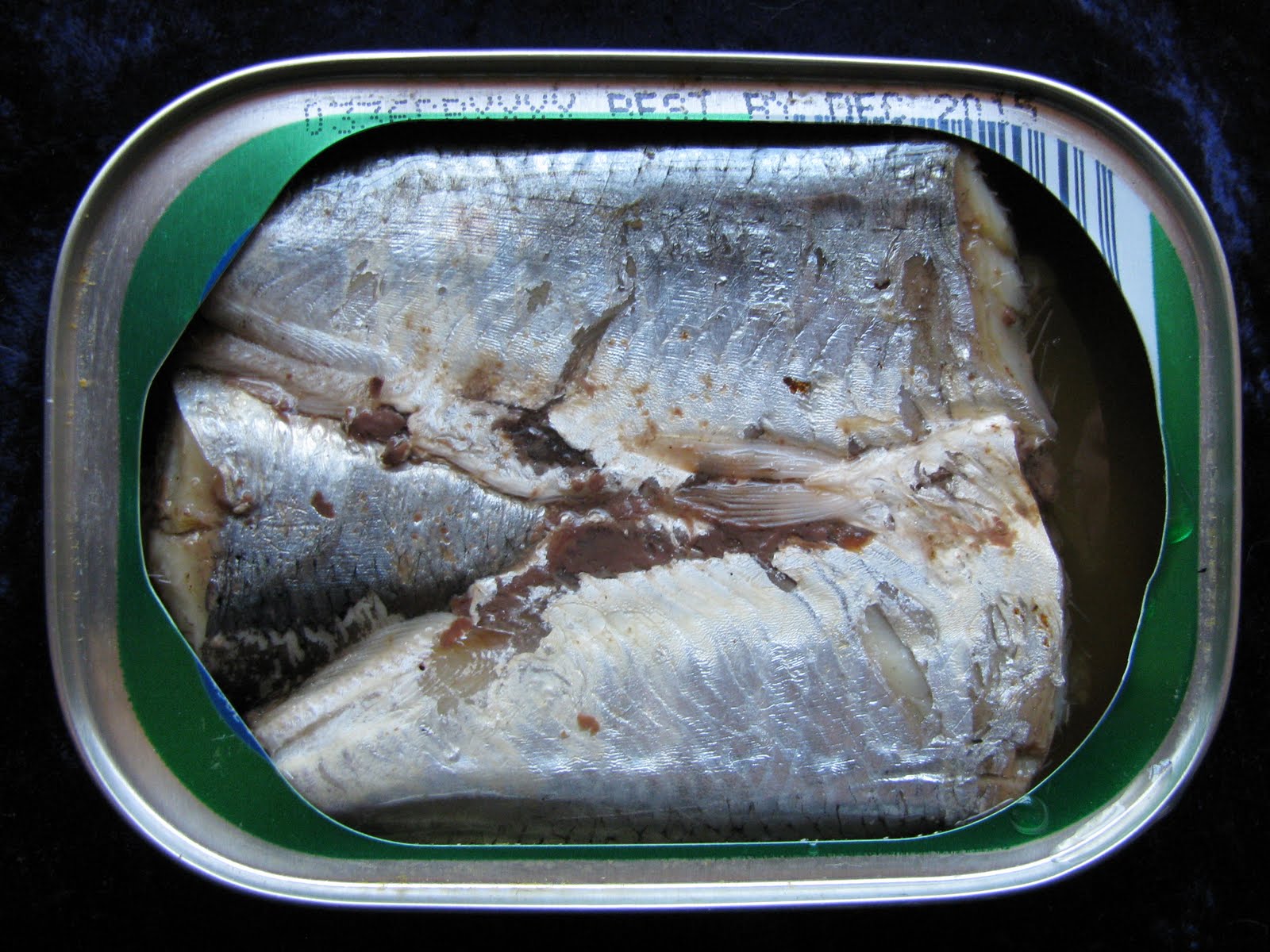 Mouth Full of Sardines NORTHERN CATCH 25