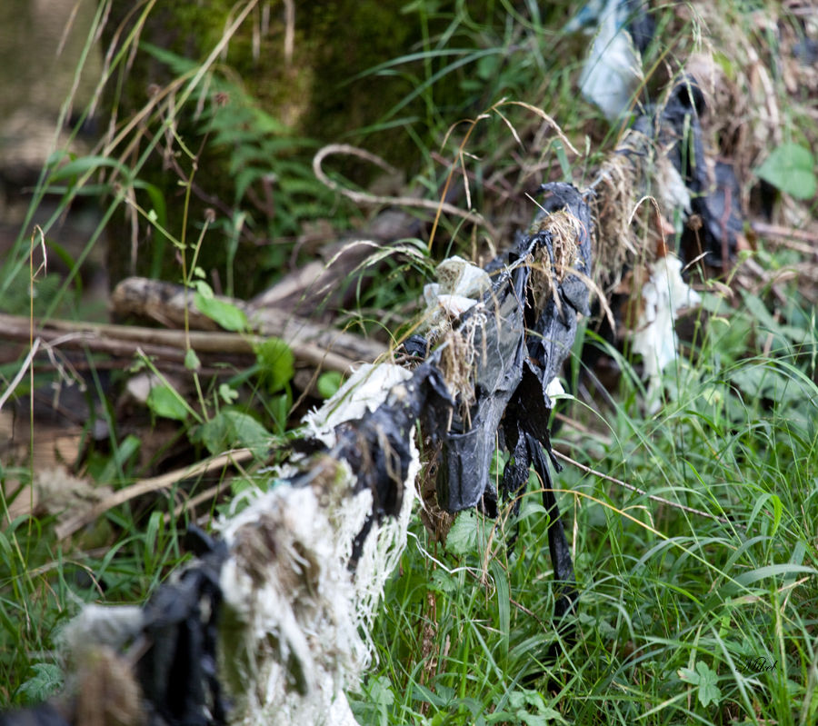 Cuaderno del Migue: El rio, ese patio trasero.