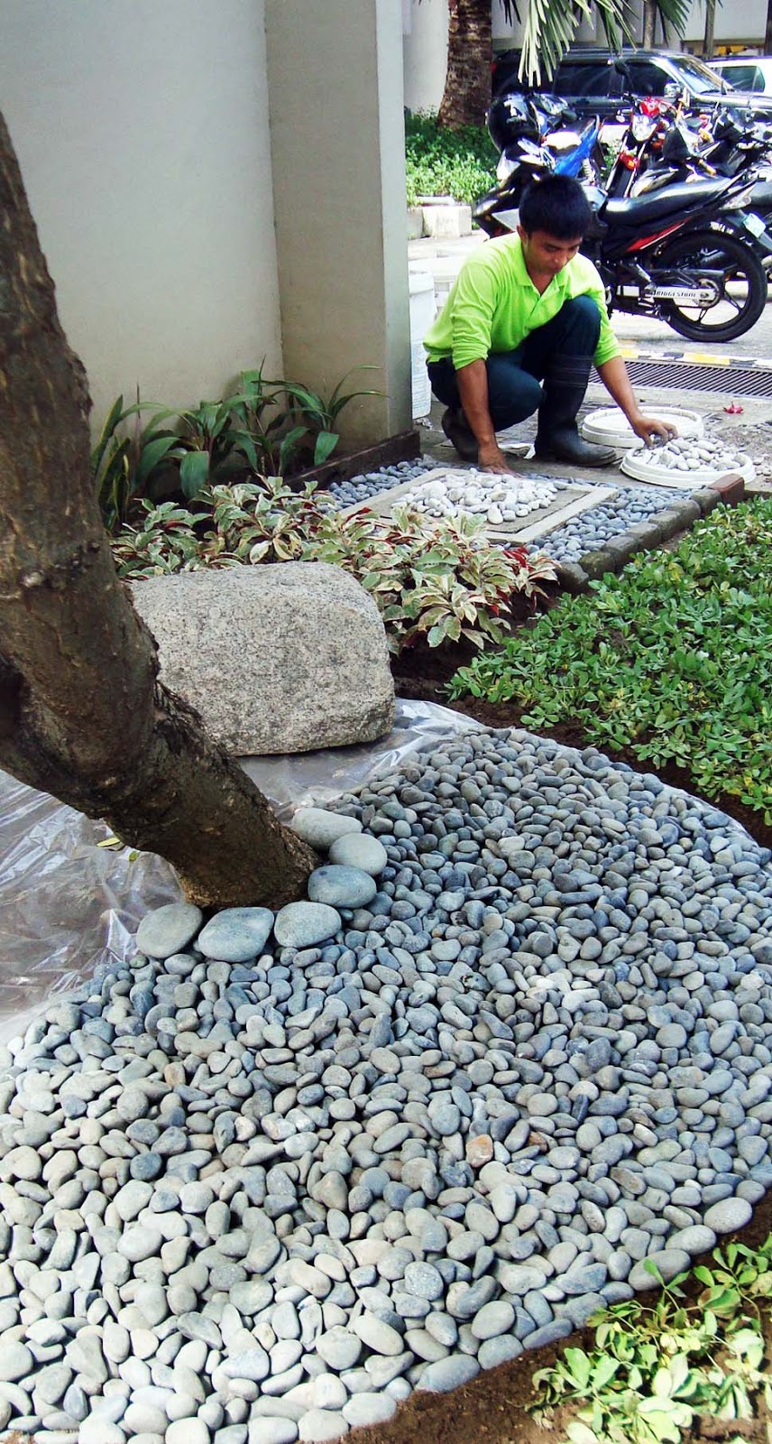 Naturalist's World Dr Abe V Rotor Landscaping and philosophy