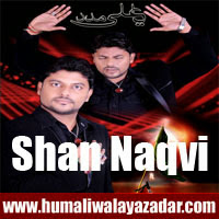 http://ishqehaider.blogspot.com/2013/11/shan-naqvi-nohay-2014.html