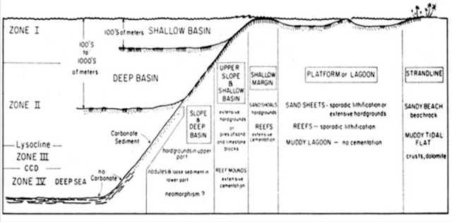 Batuan Karbonat - Geological Melankolia