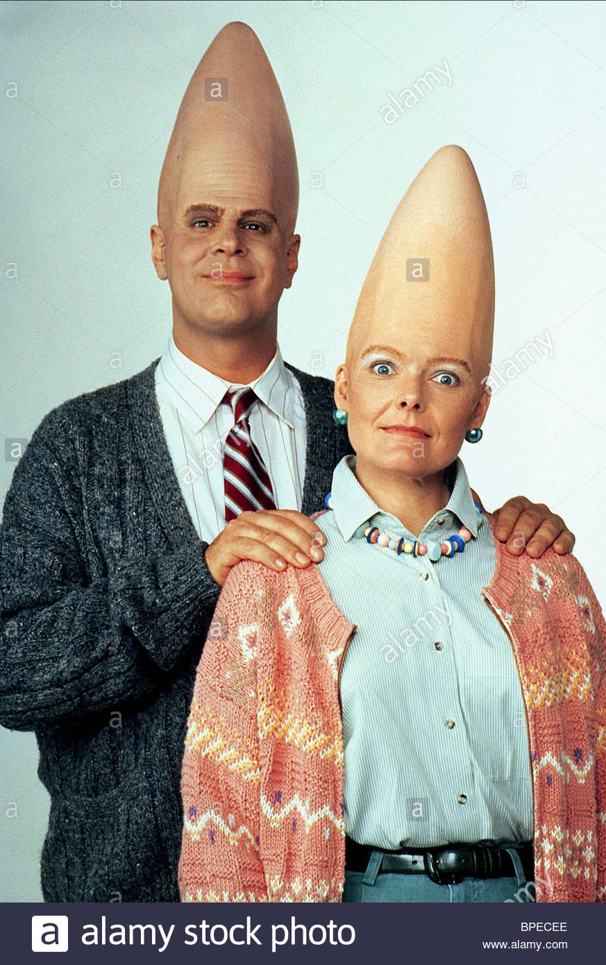 MObugs RoundTipped Conehead Katydid