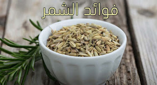 الشمر الشمر