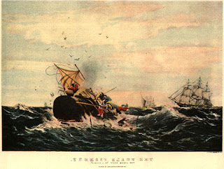 19. yüzyılda ispermeçet balinaları tehlikeli bir yöntem olan kayık ve elle atılan zıpkınlarla avlanırdı.