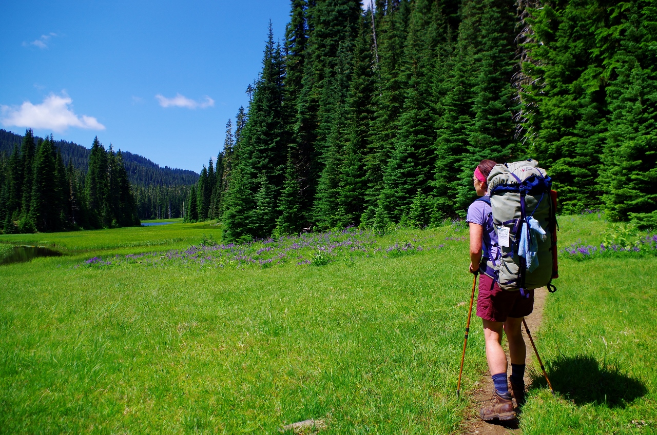 Австрия hiking. Asolo drifter. Hike обзор. Хайкинга. Хайкинг тренажер.