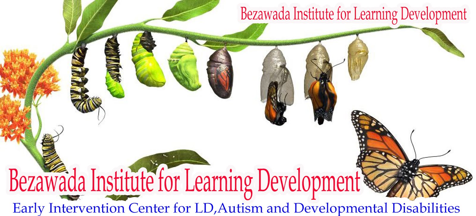 Bezawada Institute for Learning Development 