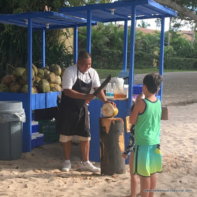 chef prepares fresh coconut drink at Four Seasons Resort Punta Mita in Mexico