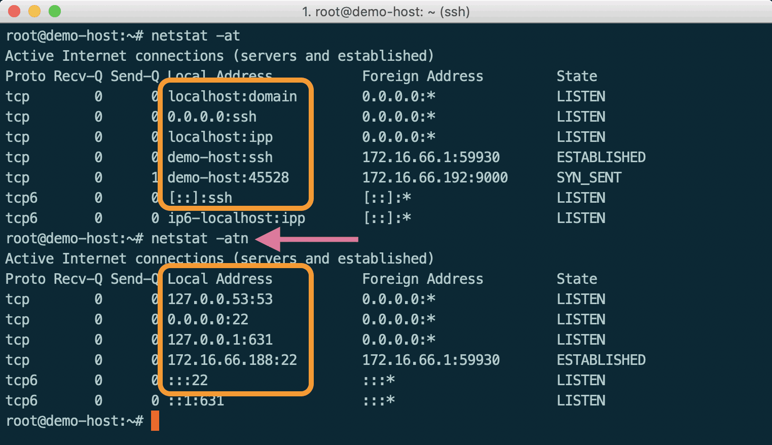 numerical addresses