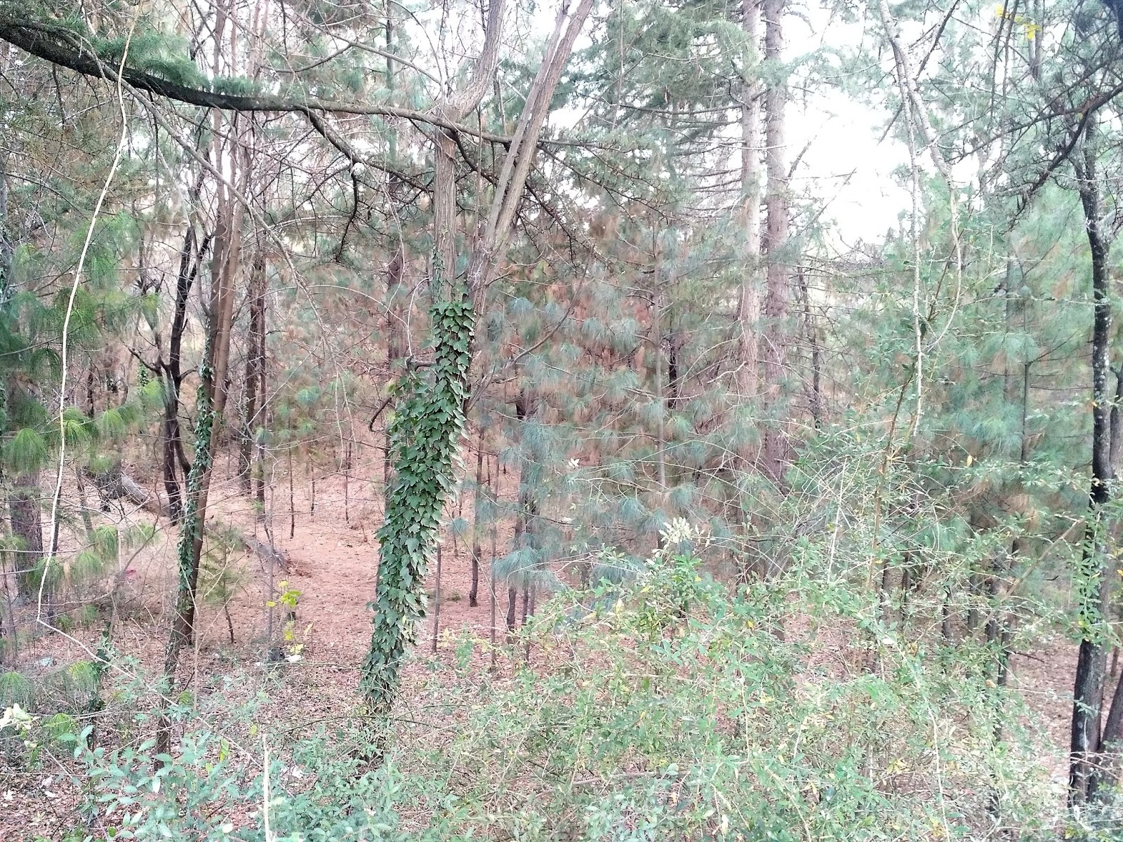 Fight club kishtwar the Chenab Times Kishtwar new place