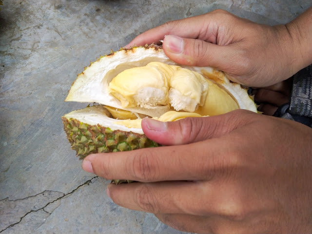 Manis Durian Deles - Bu Dalmi