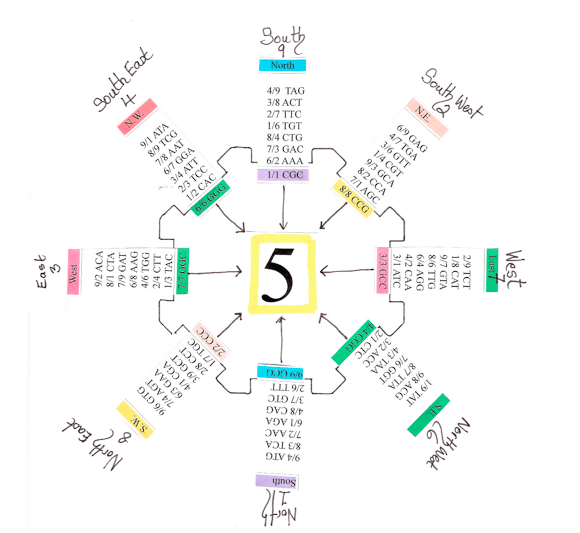The Ramblings of The Rose Nine Star Ki Sitting Positions in the I Ching