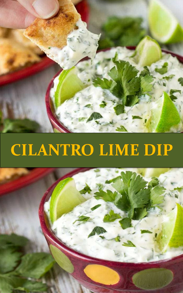 CILANTRO LIME DIP MY KITCHEN