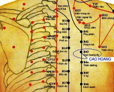huyệt cao hoang Vị trí huyệt cao hoang