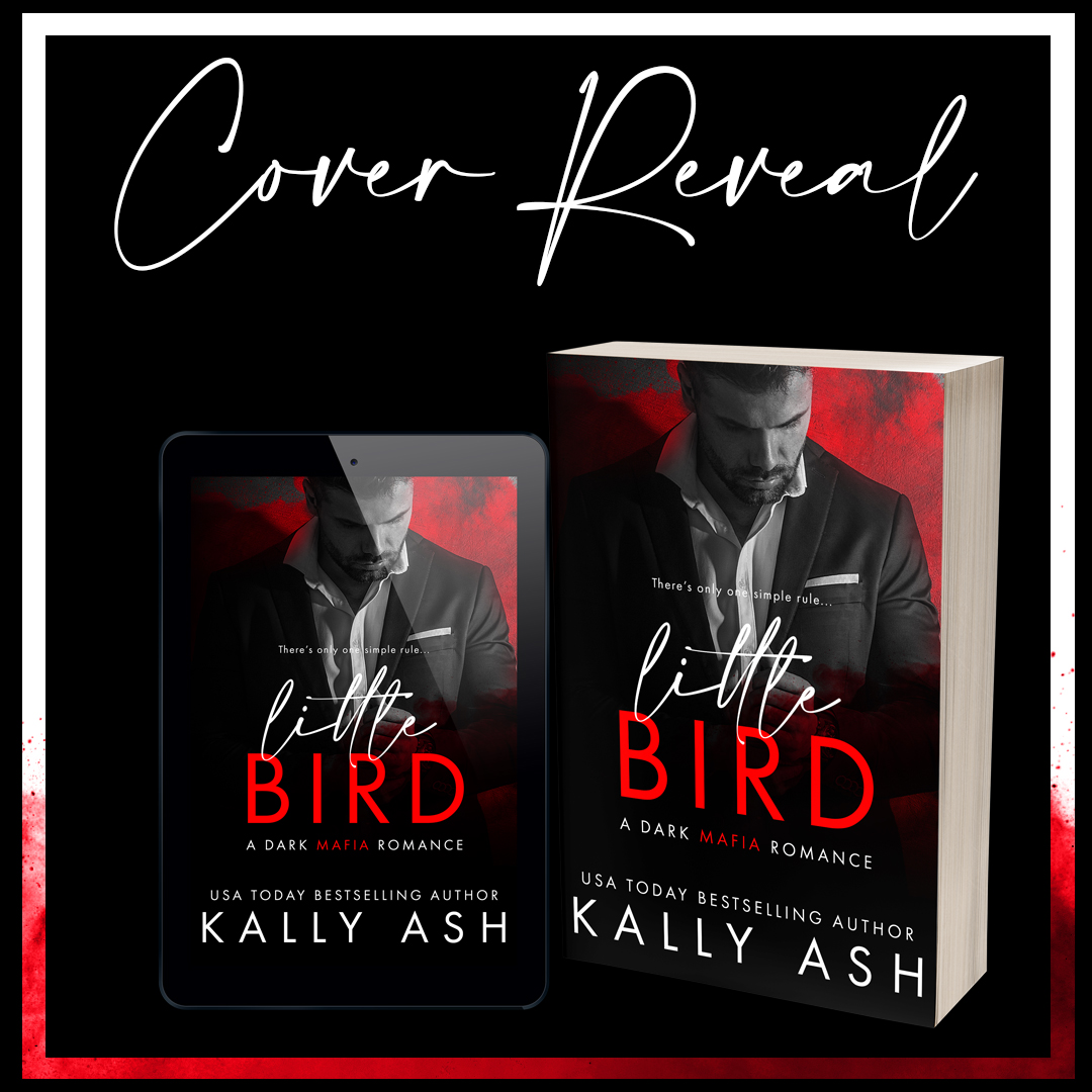 Amazeballs Book Addicts Cover Reveal for Little Bird by Kally Ash