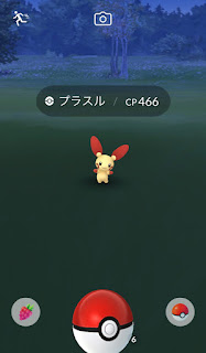 ポケモンgo 色違いプラスル マイナンを狙うもハプニング 色違いプラスルの見分けが難しすぎる ふみの色違いポケモンブログ