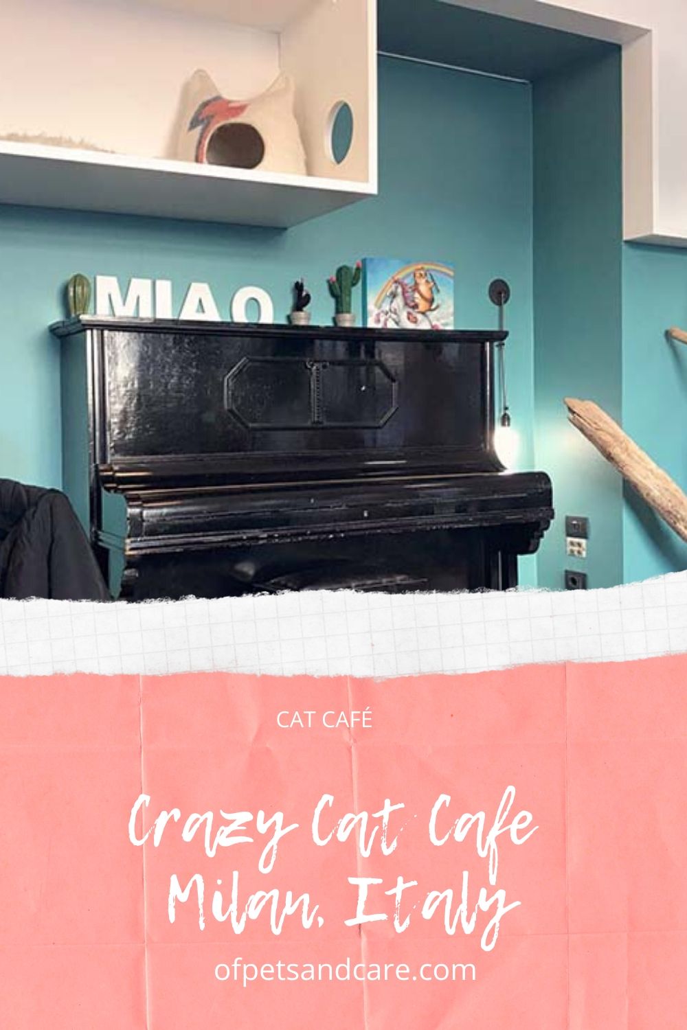 Crazy Cat Cafe in Milan