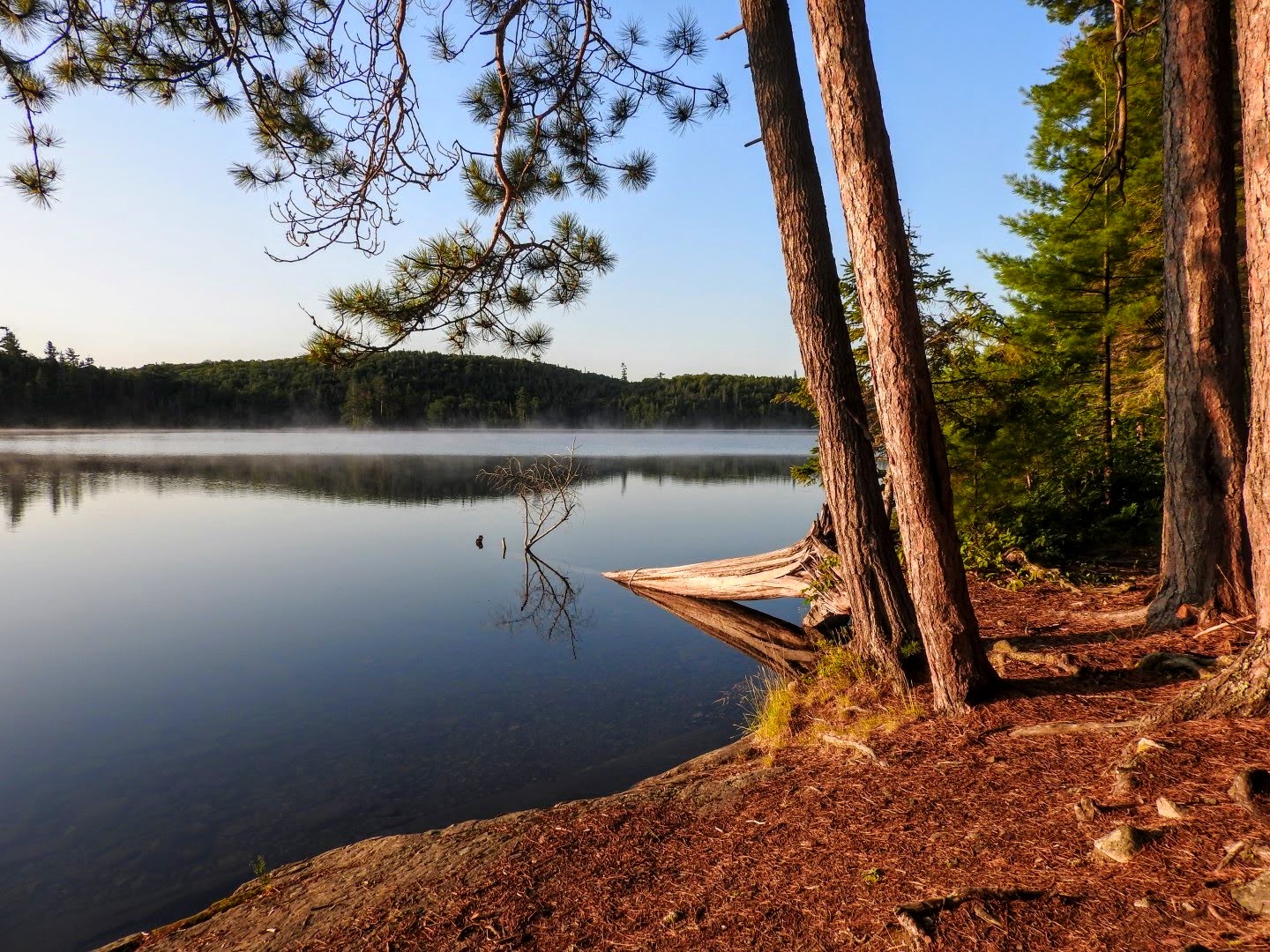 LOAFin AROUND and KANOE TRIPPING CANOEING & KAYAKING Temagami and