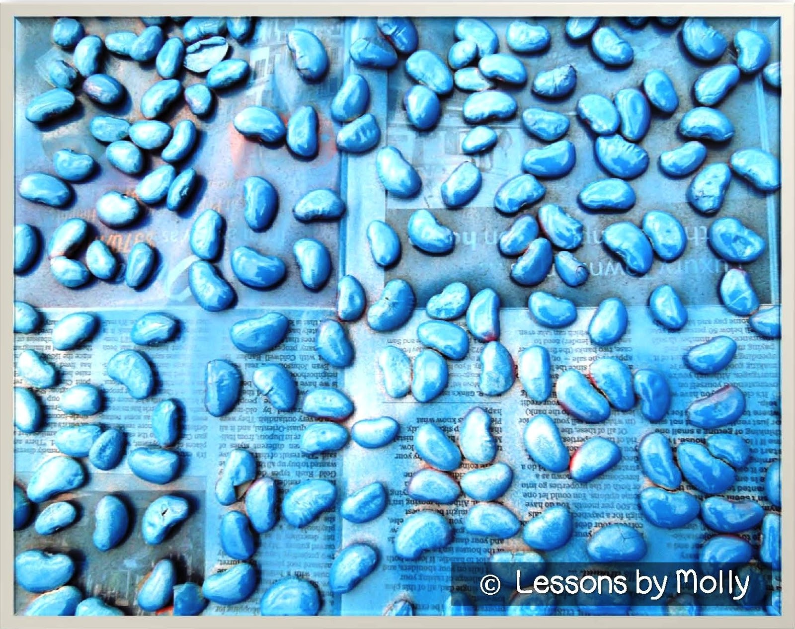 Lessons by Molly The Saga of the Bicolored Numeracy Beans