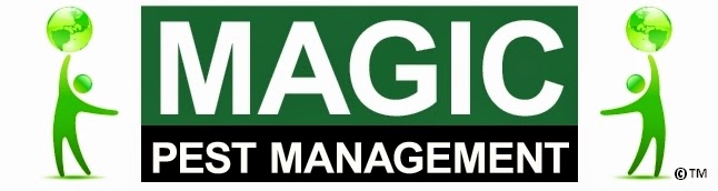 Magic Pest Management