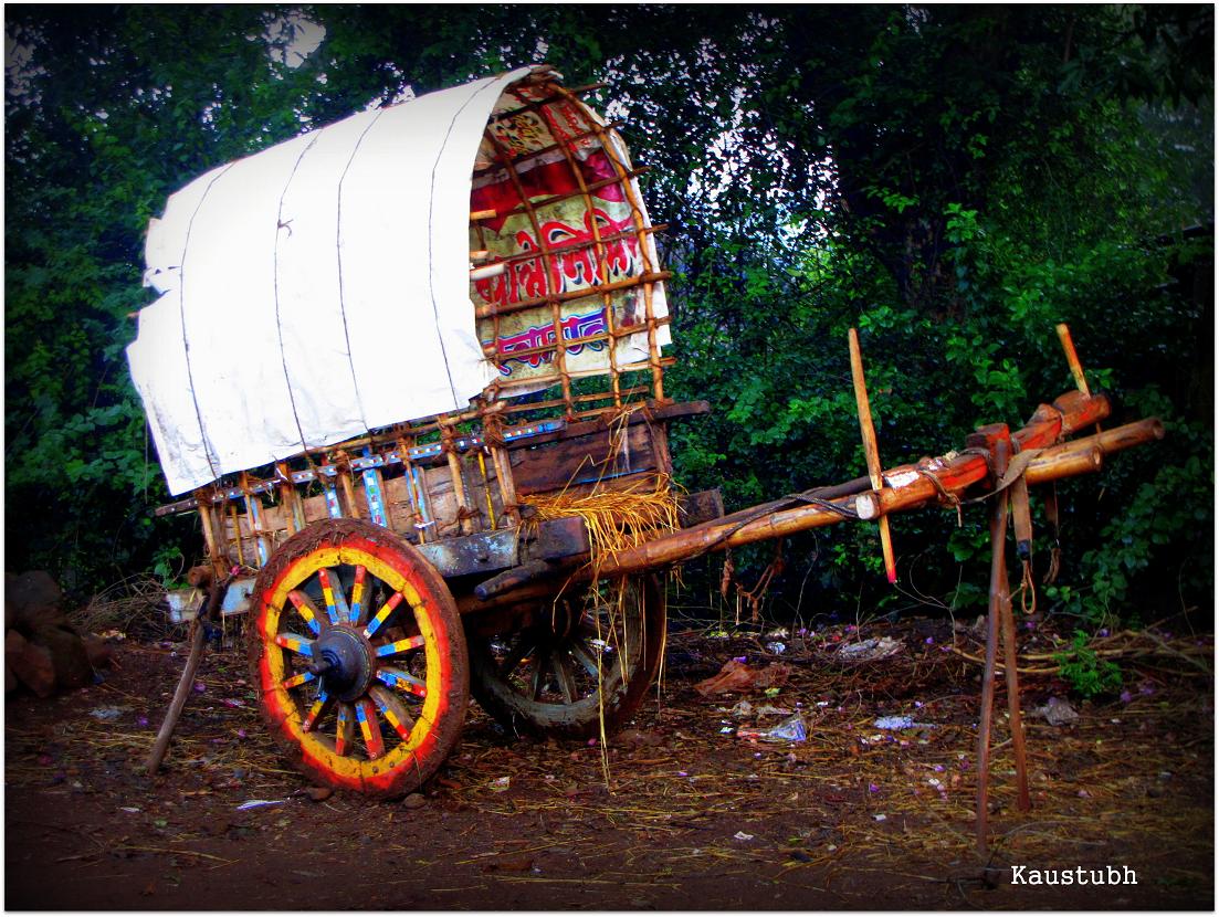 Contents of life Bullock cart