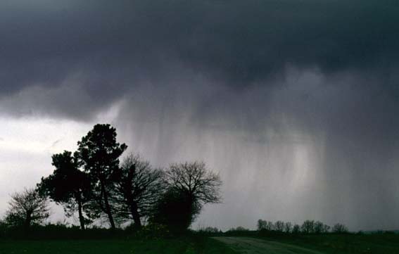 http://1.bp.blogspot.com/-f8uBAfApzII/UIxAGy8uwlI/AAAAAAAAAw8/-q370Og5l58/s1600/miz+du.jpg
