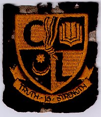 Court Lane School Badge